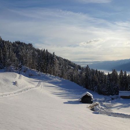 Appartamento Gasperhof Dellach  Esterno foto