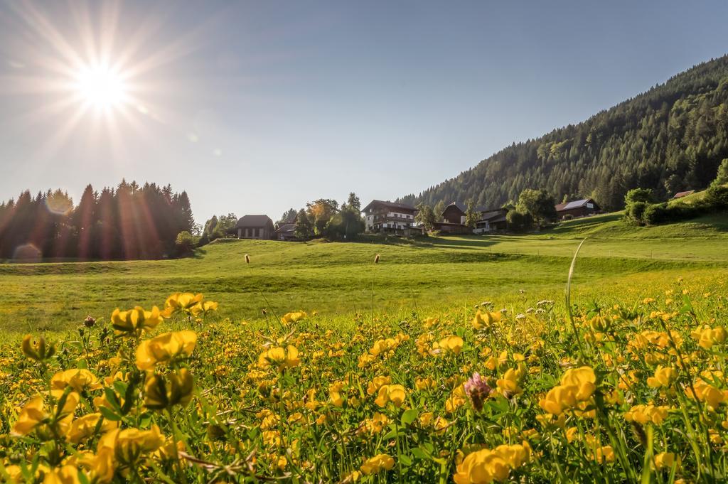 Appartamento Gasperhof Dellach  Esterno foto